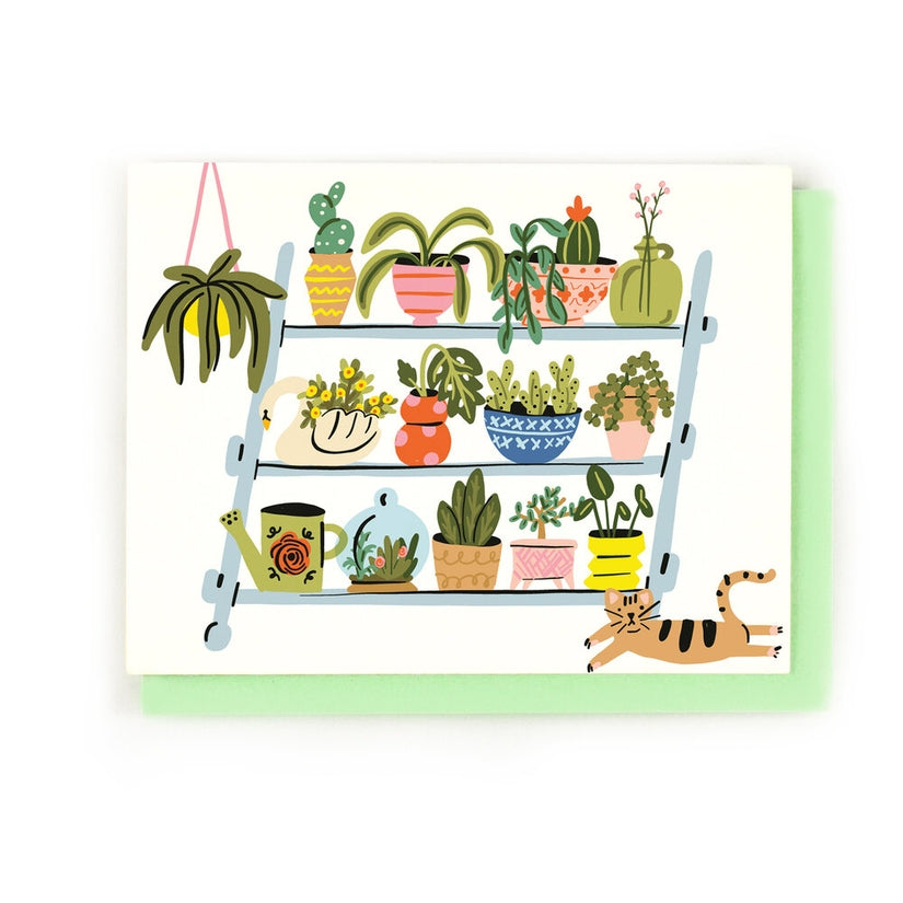 Plant Life Card Box Set